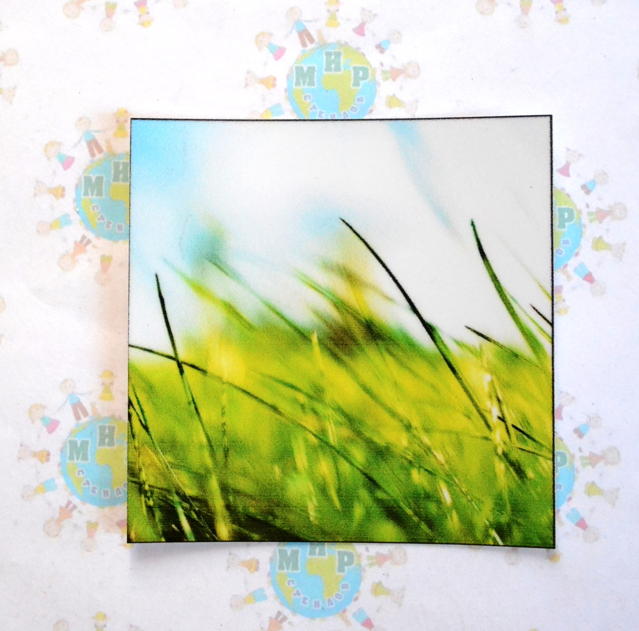 Наклейка на вимикач Трава