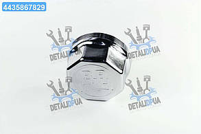 Кришка маточини M125*3 SW110 700Nm BPW (RIDER) RD 41.24.59