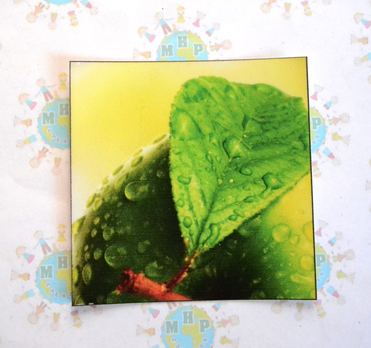 Наклейка на вимикач Листочок