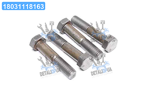 Болт М20х100х2,5 шестигранний (1кг = 1 компл) ГОСТ 7805-70 (Україна) М20х100
