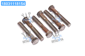 Болт М16х100х2,0 шестигранний (1кг = 1 компл) ГОСТ 7805-70 (Україна) М16х100