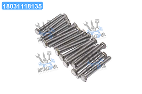 Болт М10х90х1,5 шестигранний (1кг = 1 компл) ГОСТ 7805-08 (Україна) М10х90