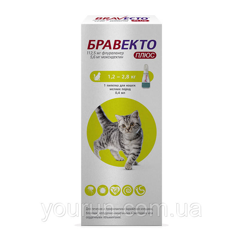 Bravecto PLUS (Бравекто Плюс) - Протипаразитарні Краплі від бліх та кліщів для кішок 1,2-2,8 кг (1 піпетка), фото 1