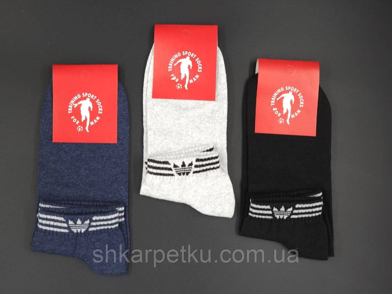 Чоловічі шкарпетки короткі щоденні Sport socks А смужки, стрейчеві розмір 41-44 12 пар/уп асорті