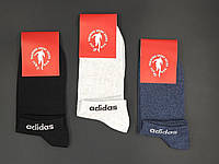 Мужские носки короткие стильные повседневные Sport socks А надпись , стрейчевые размер 41-44 12 пар/уп ассорти