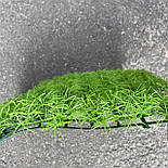 Трава килимок кохея вінцева .25*25 см, фото 3