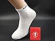 Чоловічі шкарпетки короткі щоденні Sport socks Р напис, стрейчеві розмір 41-44 12 пар/уп асорті, фото 4