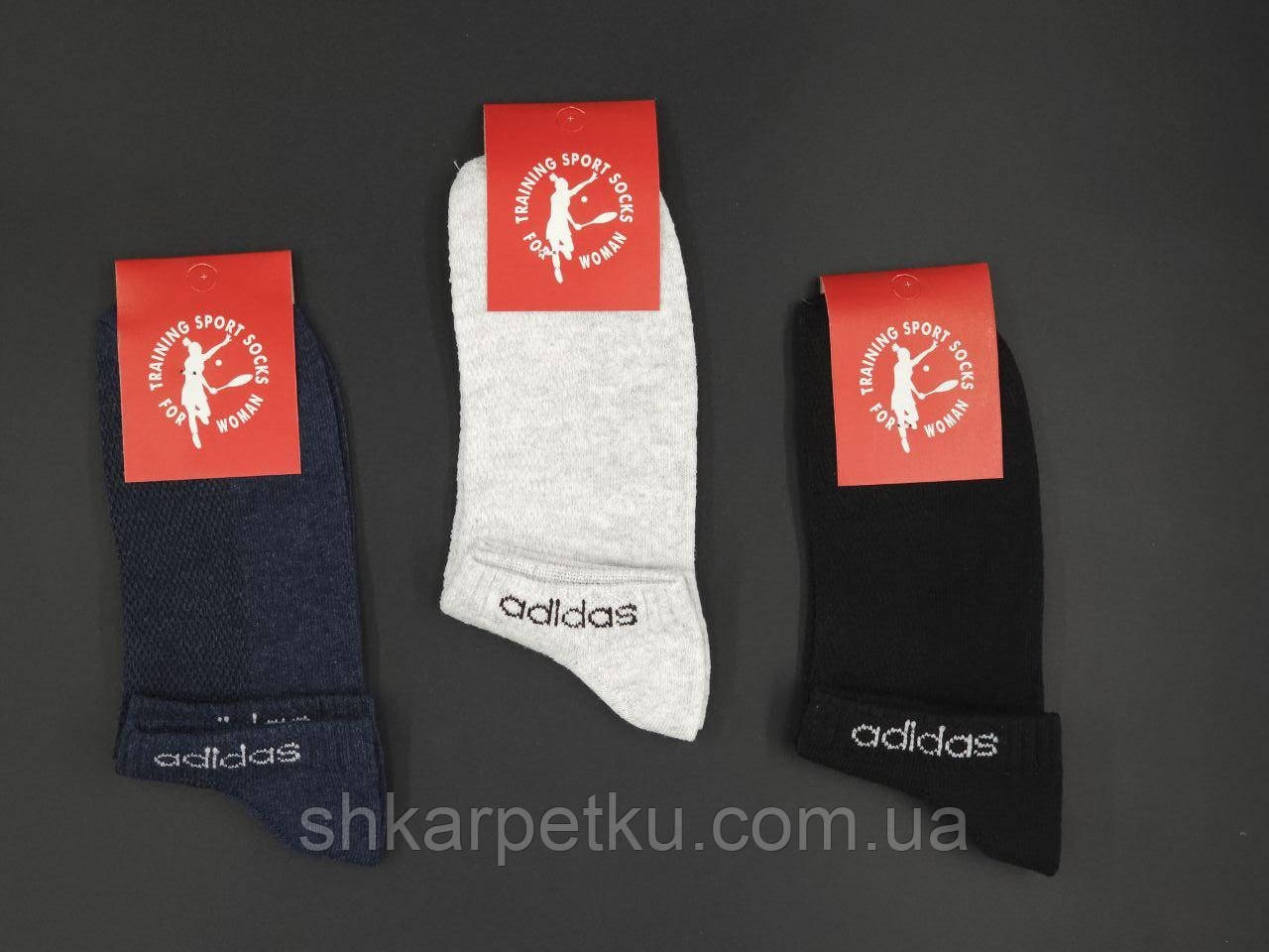 Жіночі шкарпетки стрейчеві Sport Socks А напис,  бавовна сітка короткі розмір 36-39 12 пар/уп мікс кольорів