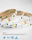 LED стрічка RISHANG 60-2835-12V-IP20 5,5W 530Lm 6000K 5м (RN0860TA-B-W), фото 5