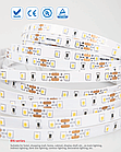 LED стрічка RISHANG 60-2835-12V-IP20 12W 956Lm 3000K 5м (RN0060TA-A-WW), фото 4