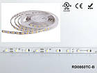 LED стрічка RISHANG 60-2835-24V-IP20 6W 530Lm 6500K 5м (RD0860TC-B-W), фото 3