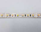 LED-стрічка RISHANG мультибіла 96-3528-24V-IP33 9W 2700K/6500K, фото 5
