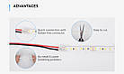 LED стрічка COLORS 60-2835-12V-IP33 4,8W 480Lm 3000K 5м (DJ60-12V-8mm-WW), фото 6