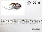 LED стрічка RISHANG 30-5050-12V-IP20 6.48W RGB 5м (RD0030AQ), фото 3