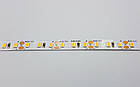 LED стрічка RISHANG 120-2835-24V-IP20 8,6W 818Lm 3000K 5м (RN08C0TC-B), фото 5
