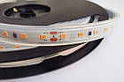 Термостійка стрічка для сауни COLORS 80-3030-24V-IP65 5 W 690 Lm 2700 K, фото 5