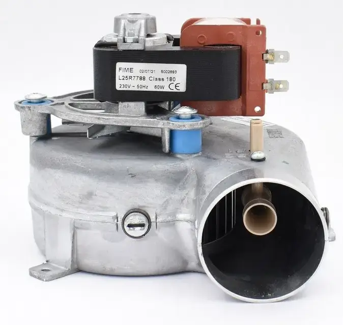 Теңіздегі жалаңаш қыздардың фотосы Тас жолда жезөкшелерді алып бара жатқан суреттер