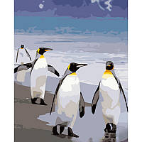 Картина за номерами Strateg Пінгвіни розміром 40х50 см (GS696) melmil