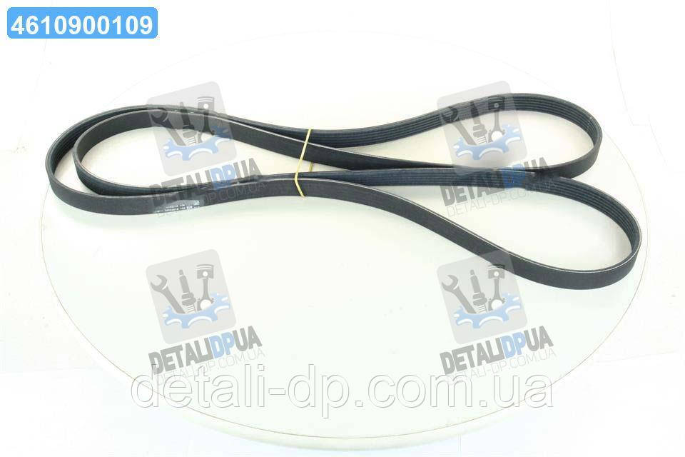 Ремінь полікліновий (Вир-во ContiTech) 6PK2581 UA1, фото 1