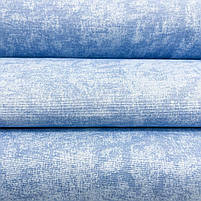 Π’ΠΊΠ°Π½ΠΈΠ½Π° DUCK "ΠΠ°ΡΠΌΡΡ Π±Π»Π°ΠΊΠΈΡΠ½ΠΎΠ³ΠΎ ΠΊΠΎΠ»ΡΠΎΡΡ", ΡΠΎΡΠΎ 2