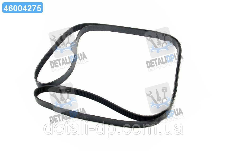 Ремінь поліклін. (вир-во DAYCO) 6PK2590 UA1, фото 1