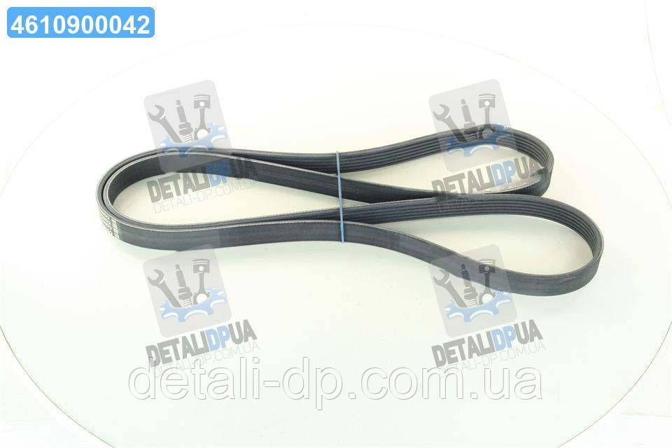 Ремінь полікліновий (Вир-во ContiTech) 6PK1856 UA1, фото 1