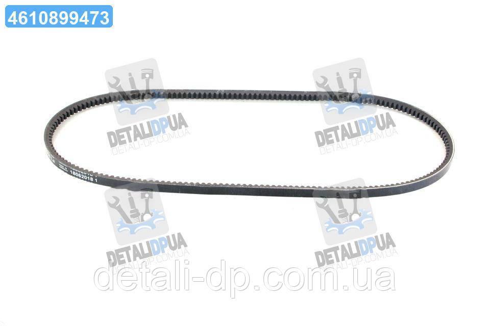 Ремінь клиновий (Вир-во ContiTech) 10X950 UA1, фото 1