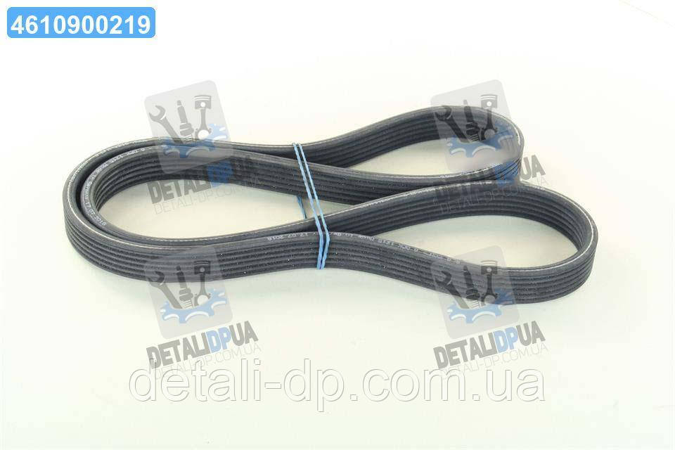 Ремінь полікліновий (Вир-во ContiTech) 6DPK1215 UA1, фото 1