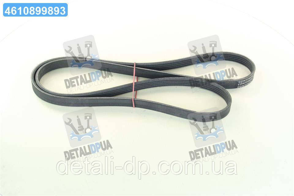 Ремінь полікліновий (Вир-во ContiTech) 5PK1570 UA1, фото 1