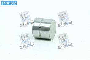 Гiдрокомпенсатор ВАЗ 2112 (вир-во Ina) 420 0073 10