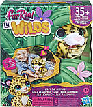 М'яка іграшка інтерактивна FurReal Friends Леопард Лоллі Фуріал Lil' Wilds Lolly Leopard F4394 оригінал, фото 2