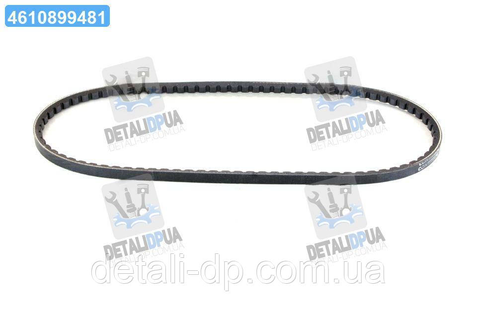 Ремінь клиновий (Вир-во ContiTech) 11.2X866 UA1, фото 1