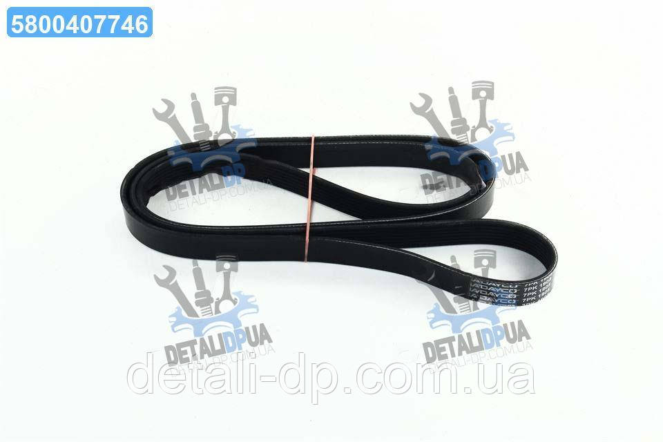 Ремінь поліклін. (Вир-во DAYCO) 7PK1905 UA1, фото 1