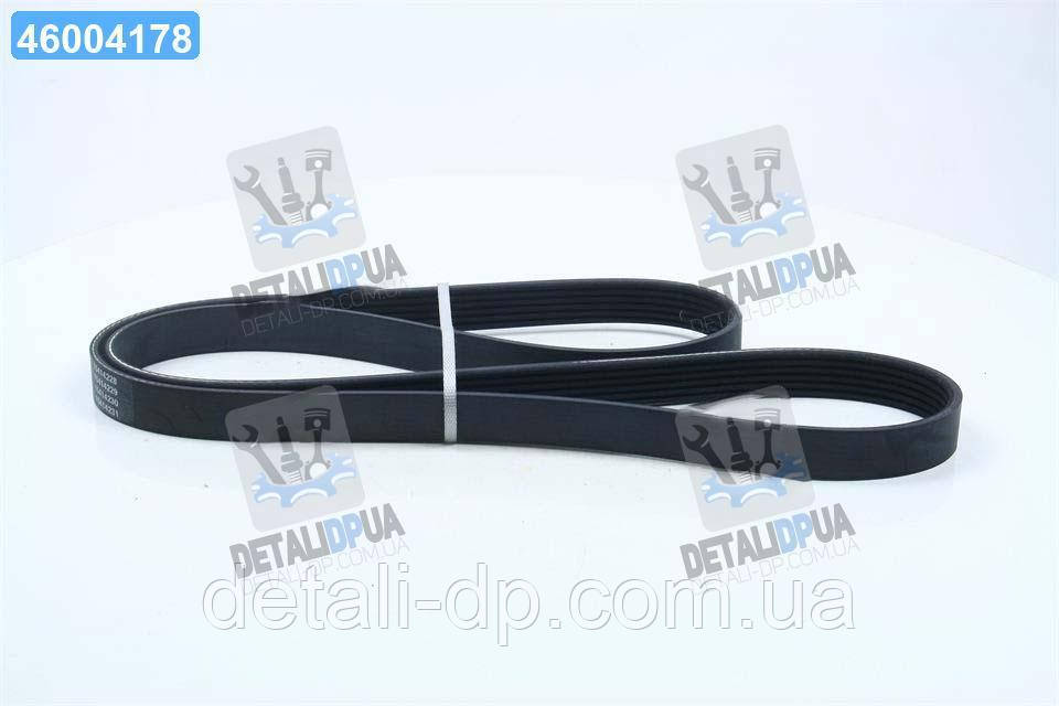 Ремінь поліклін. (вир-во DAYCO) 6PK1435 UA1, фото 1