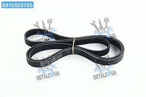 Ремінь поліклін. (вир-во SKF) VKMV6PK1873 UA1