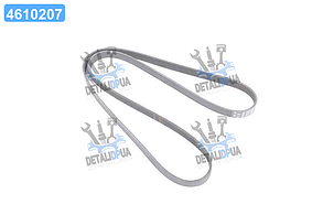 Ремінь поліклін. 6PK1795 (вир-во Gates) 6PK1795 UA1