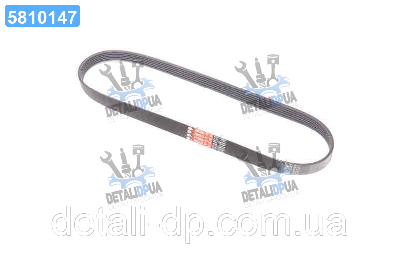 Ремінь поліклін. 6PK975 (Вир-во Gates) 6PK975 UA1, фото 1