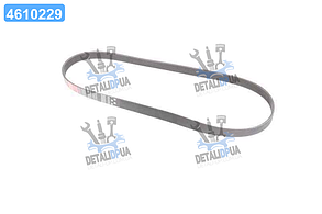Ремінь поліклін. 6PK1070 (вир-во Gates) 6PK1070 UA1