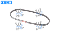 Ремень поликлин. 4PK813 (пр-во Gates) 4PK813