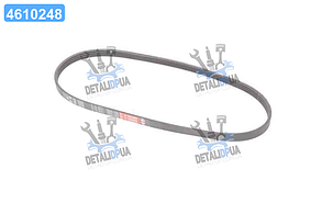 Ремінь поліклін. 4PK813 (вир-во Gates) 4PK813 UA1