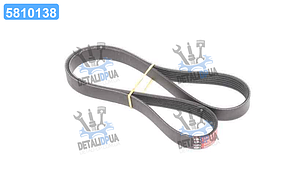 Ремінь поліклін. 6PK1203 (Вир-во Gates) 6PK1203 UA1