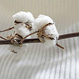 Плед покривало на ліжко Adina євро 200x220 см IDEIA молоко бавовна натуральне, фото 10