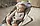 BabyBjorn - Крісло-шезлонг Bouncer Bliss Cotton, Khaki/Green Print, фото 4