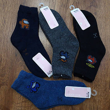 Дитячі махрові шкарпетки, бавовна + кашемір"ECO SOCKS" Art: 3061 Among Us /10 пар 3-6 років