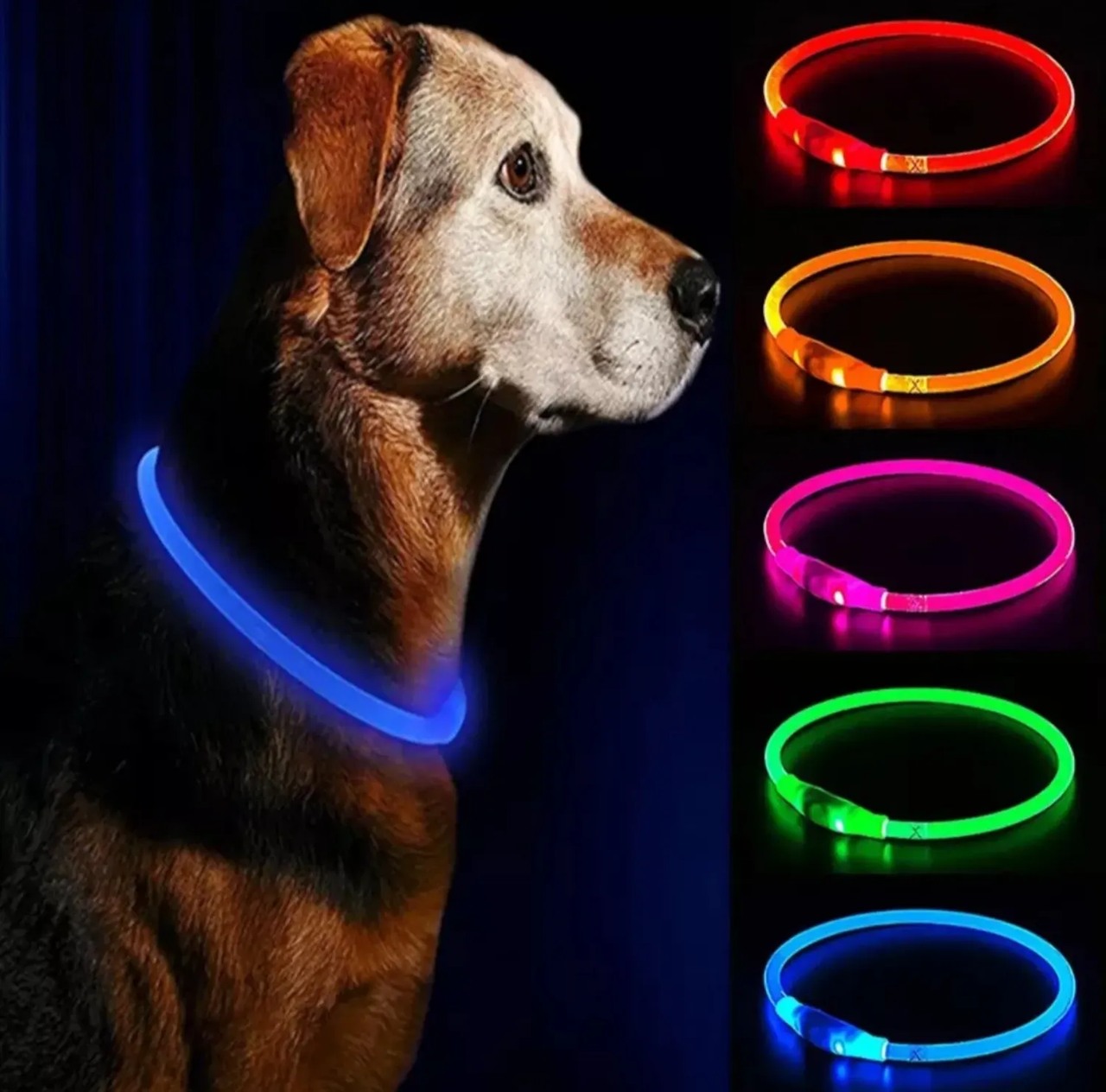 Нашийник світлодіодний для собак, світний нашийник для тварин в асортименті