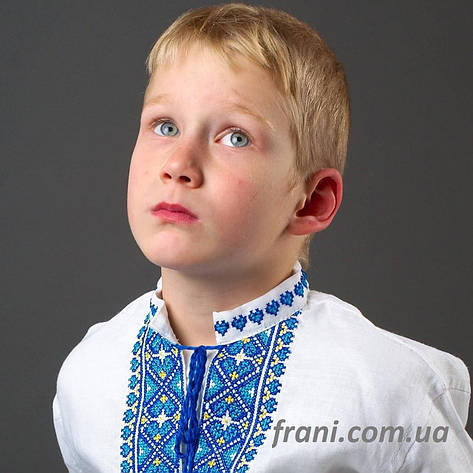 Вишиванка для хлопчиків штапель/бавовна/поплін, фото 3