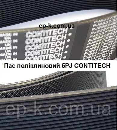 Пас поліклиновий 5 РЈ CONTITECH, фото 1