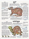 Як це працює? Тварини. Кухарська Нікола, фото 2