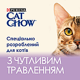 Вологий корм Cat Chow Sensitive для котів з чутливим травленням лосось та цукіні 78х85г, фото 4