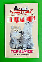 Персидская кошка красота и благородство, Н.Непомнящий